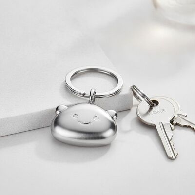 Goede prijs Leuke metalen sleutelhanger met splitring Bevestigingstype Unisex Ontwerp Praktisch Lichtgewicht en geschikt voor verschillende doeleinden online